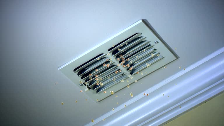 Best Duct Cleaning for Homes  in Lathrop, CA
