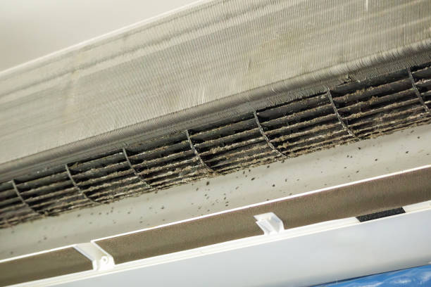 Best Air Duct Cleaning Near Me  in Lathrop, CA